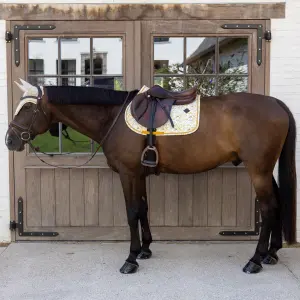 Σέλας για άλογο Kentucky Horsewear image-2