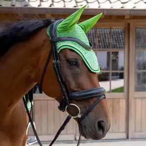 Kurze Samtmütze für Pferde mit Druckmotiven Kentucky Horsewear Wellington image-2