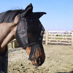 product/k/e/kentucky-horsewear-42671-01-f-black-2.jpg