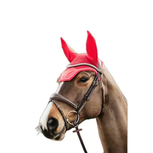 Κοντό καπέλο για άλογο αντιακουστικό Kentucky Horsewear Wellington image-1