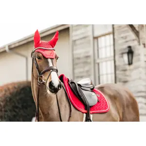 Κοντό καπέλο για άλογο αντιακουστικό Kentucky Horsewear Wellington image-2