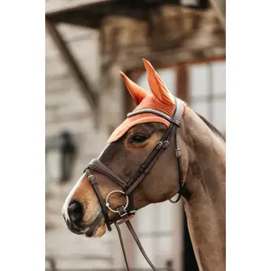 Κοντό καπέλο για άλογο αντιακουστικό Kentucky Horsewear Wellington image-2