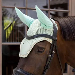 Bonnet court pour cheval anti-bruit Kentucky Horsewear Wellington image-2