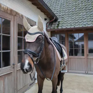 Korte oordoppen voor paarden Kentucky Horsewear Wellington Softshell image-2