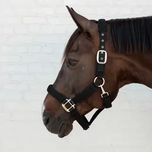 Λουρί για άλογο από πλέγμα Kentucky Horsewear 3D image-1