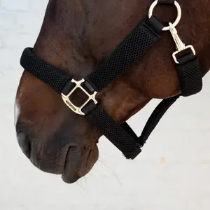 Λουρί για άλογο από πλέγμα Kentucky Horsewear 3D image-2
