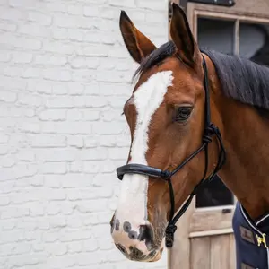 Licol pour cheval en corde Kentucky Horsewear image-2