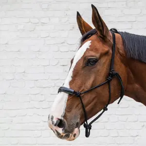 Licol pour cheval en corde Kentucky Horsewear image-4