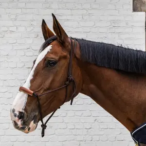 Licol pour cheval en corde Kentucky Horsewear image-3