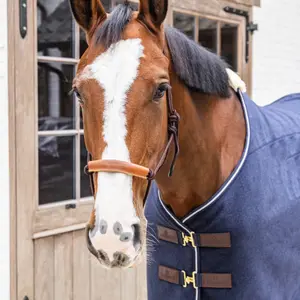 Licol pour cheval en corde Kentucky Horsewear image-4