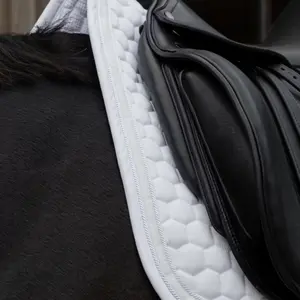 Glitter dressurunderlag til hest Kentucky Horsewear image-2