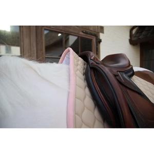 product/k/e/kentucky-horsewear-42737-32-10-sj-beige-2.jpg