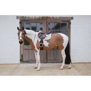 Χαλάκι CSO ανάμεικτου άλματος Kentucky Horsewear image-3