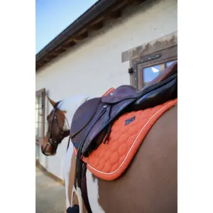 Χαλάκι CSO ανάμεικτου άλματος Kentucky Horsewear image-3