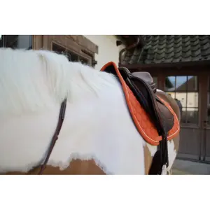Χαλάκι CSO ανάμεικτου άλματος Kentucky Horsewear image-2