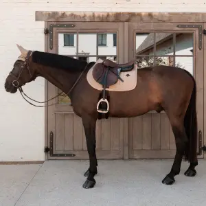 Σέλας για άλογο Kentucky Horsewear image-1