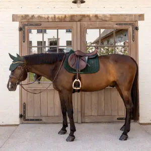 Σέλας για άλογο Kentucky Horsewear image-1