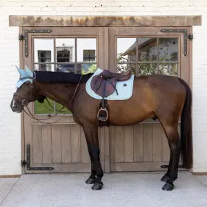 Σέλας για άλογο Kentucky Horsewear image-1