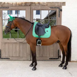 Σαμάρι ιππασίας Kentucky Horsewear image-2