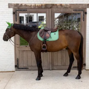 Saddle pad for horses Kentucky Horsewear image-2