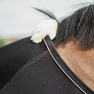 Αντι-μυοκτόνο κάλυμμα για άλογο από πλέγμα Kentucky Horsewear 250g image-4