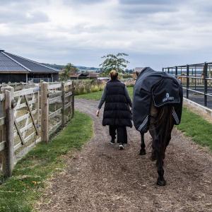 Cobertura exterior para cavalo para todas as estações impermeável Kentucky Horsewear Comfort 100 g image-4