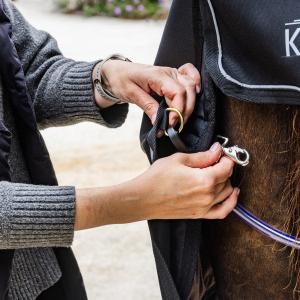 Wasserdichte Ganzjahres-Decke für Pferde Kentucky Horsewear Comfort 300 g image-1