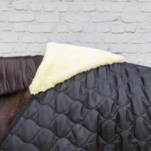 Stable Blanket Kentucky Horsewear Comfort 300 g image-3