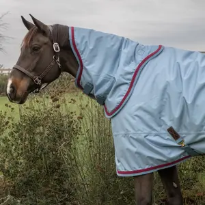 Neck Rug Kentucky Horsewear Pro image-1