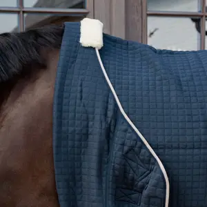 Manta de secado para caballos Kentucky Horsewear Protherm image-2