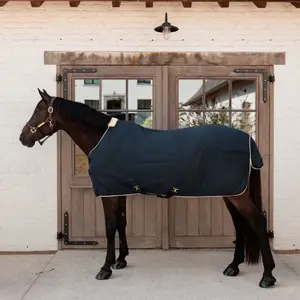 Manta de secado para caballos Kentucky Horsewear Protherm image-1