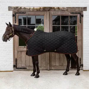 Κάλυμμα στάβλου για άλογο Kentucky Horsewear Wave 160 g image-1