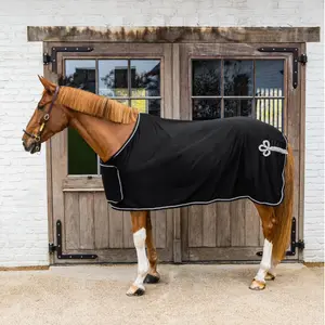 Αφρώδης κουβέρτα ξηρανσης για άλογα Kentucky Horsewear Prize Giving image-1