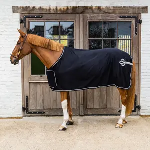Αφρώδης κουβέρτα ξηρανσης για άλογα Kentucky Horsewear Prize Giving image-1