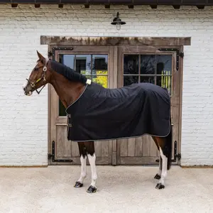 Αφρώδης κουβέρτα ξηρανσης για άλογα Kentucky Horsewear Heavy image-1