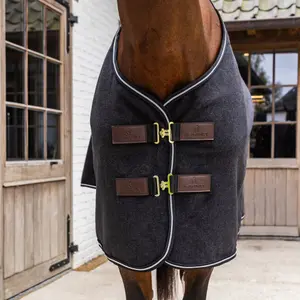 Αφρώδης κουβέρτα ξηρανσης για άλογα Kentucky Horsewear Heavy image-3