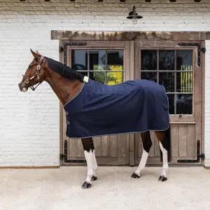 Αφρώδης κουβέρτα ξηρανσης για άλογα Kentucky Horsewear Heavy image-1