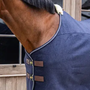 Αφρώδης κουβέρτα ξηρανσης για άλογα Kentucky Horsewear Heavy image-2