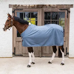 Αφρώδης κουβέρτα ξηρανσης για άλογα Kentucky Horsewear Heavy image-1