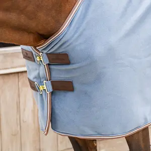 Αφρώδης κουβέρτα ξηρανσης για άλογα Kentucky Horsewear Heavy image-2
