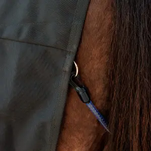 Κάλυμμα στάβλου για άλογο Kentucky Horsewear image-4