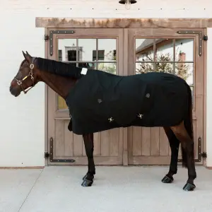 Κάλυμμα στάβλου για άλογο Kentucky Horsewear image-1
