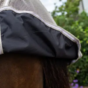 Αντιακουστική μπλούζα για άλογο άνετη Kentucky Horsewear Fly Belly image-1