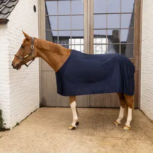 Summer Fly Sheet for Horse Kentucky Horsewear image-1