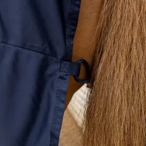 Summer Fly Sheet for Horse Kentucky Horsewear image-3