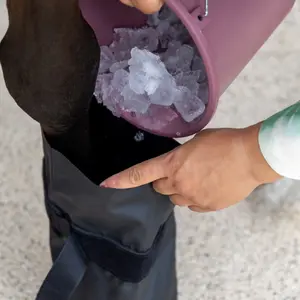 Φροντίδα για τα πέταλα του αλόγου Kentucky Horsewear Medical & Ice image-4