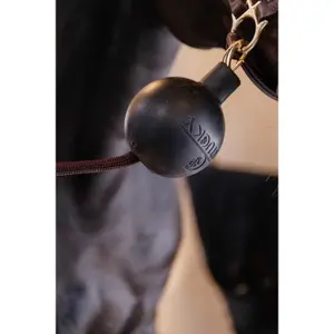 Ρομπότ προστασίας από καουτσούκ Kentucky Horsewear image-1
