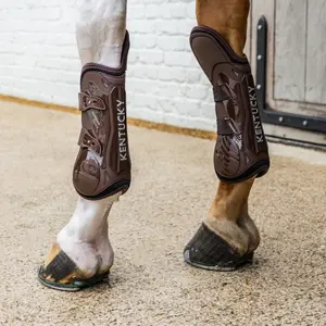 Protectores de patas delanteras cerrados para caballo con protección de rodilla Kentucky Horsewear image-3