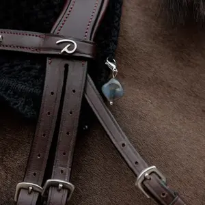 Piedra-pomes de sorte Kentucky Horsewear Lucky Charm image-1