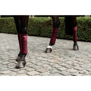 Polo wraps for horse Kentucky image-3